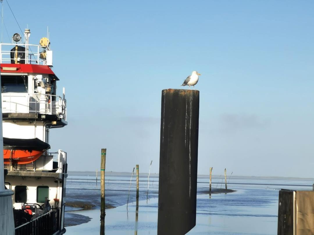 Schicke Ferienwohnung Julia An Der Nordsee Lutetsburg Екстериор снимка